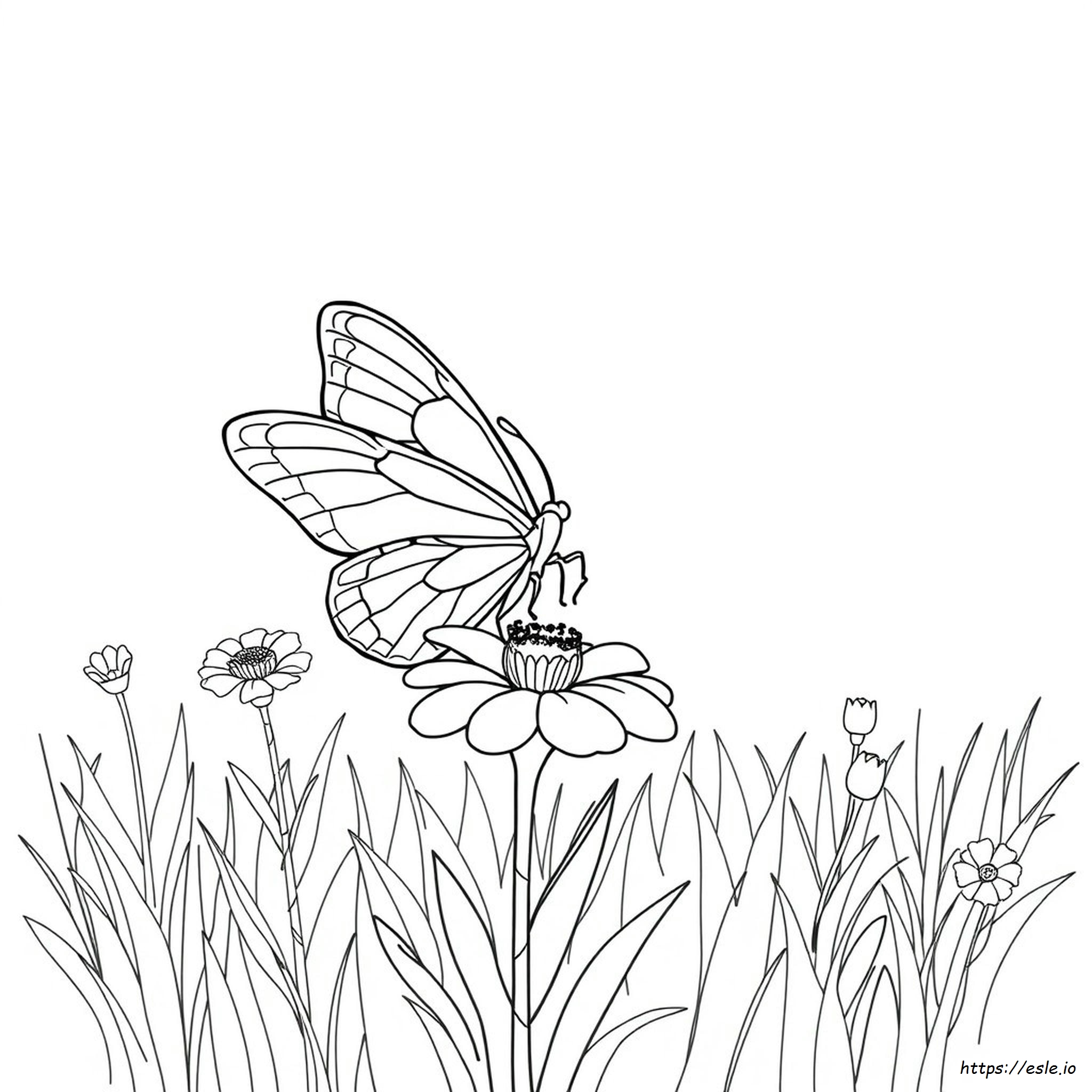 Butterfly.Coloring Page