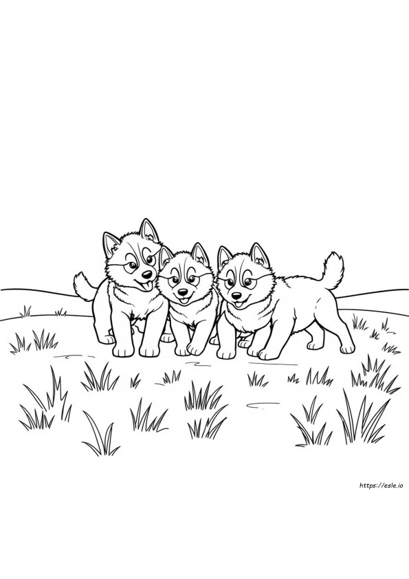 Husky Puppy Coloring Page