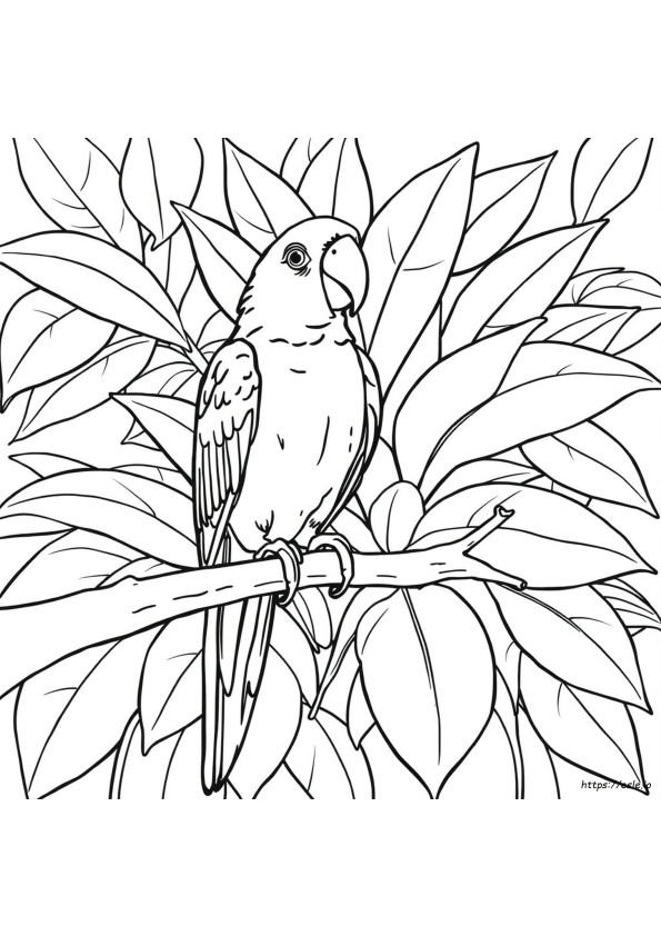 Coloriages De Perroquets