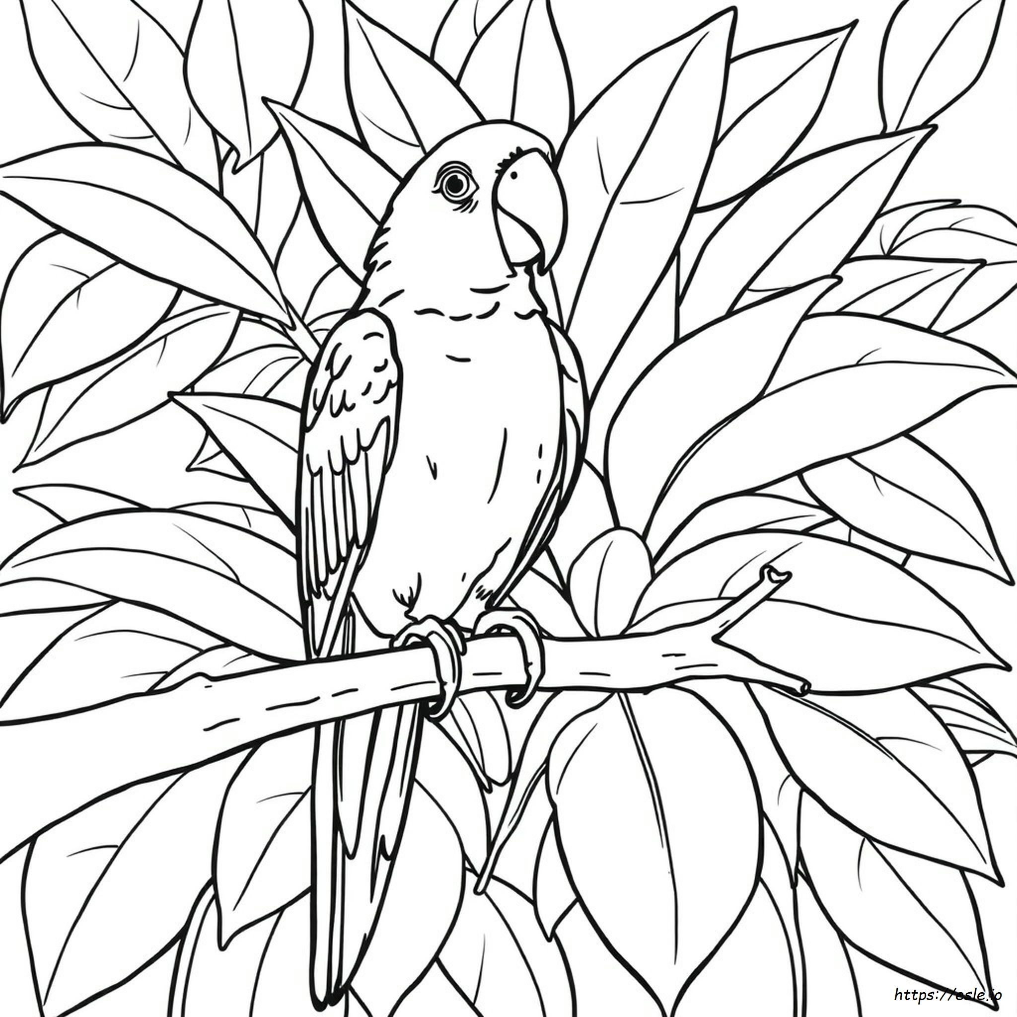 Coloring Pages Of Parrots