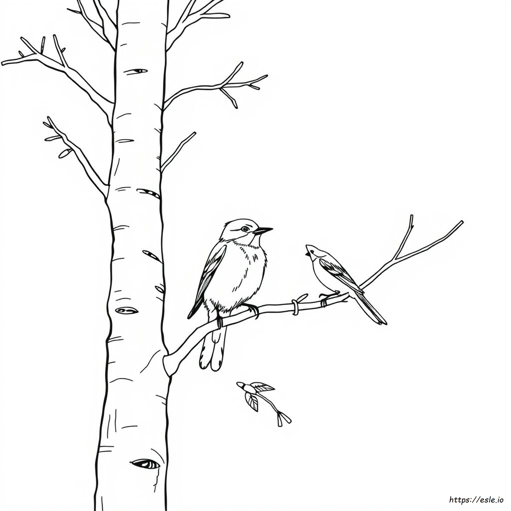 Idaho State Bird Coloring Page