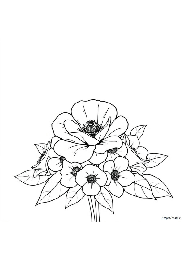 Rosetta Coloring Pages