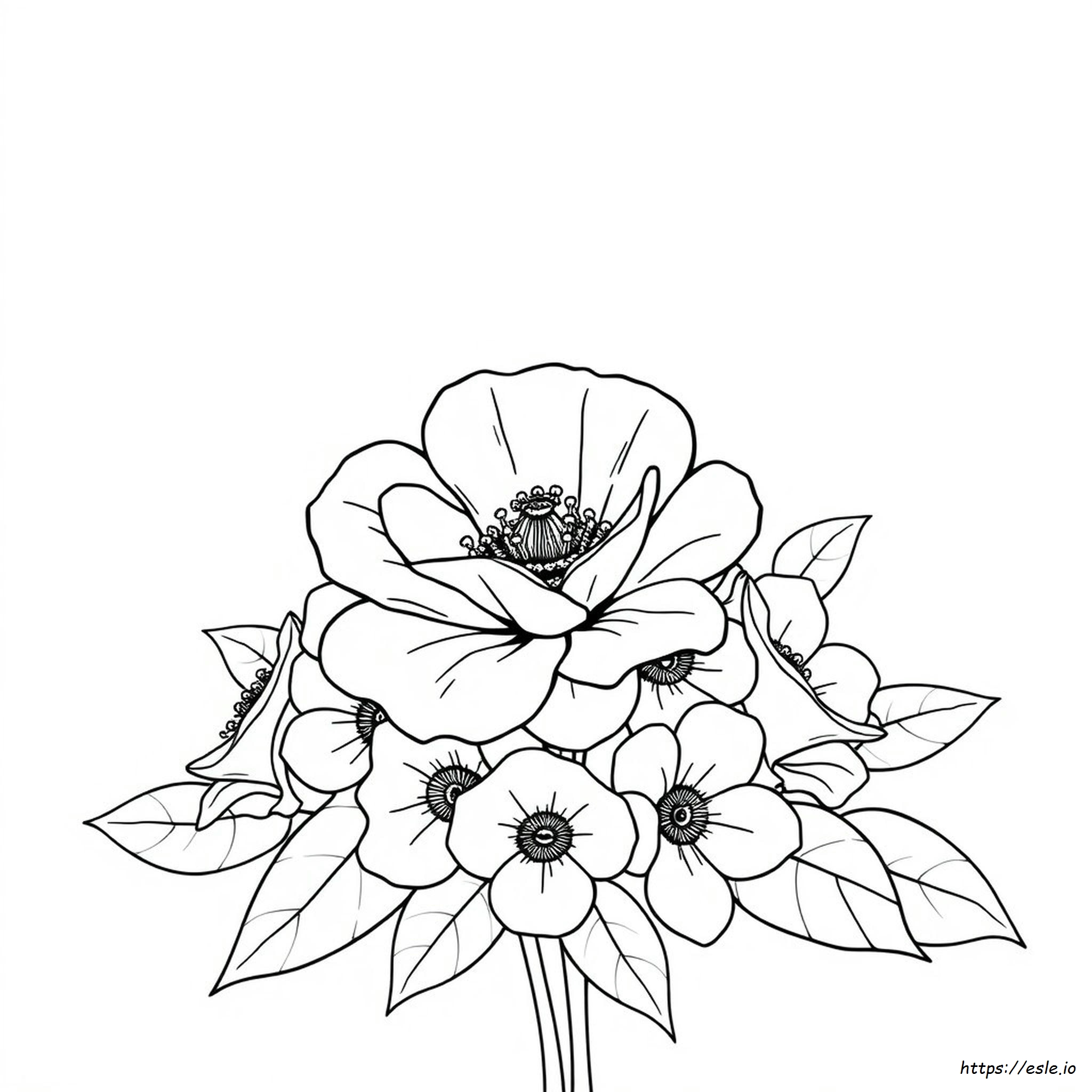 Rosetta Coloring Pages