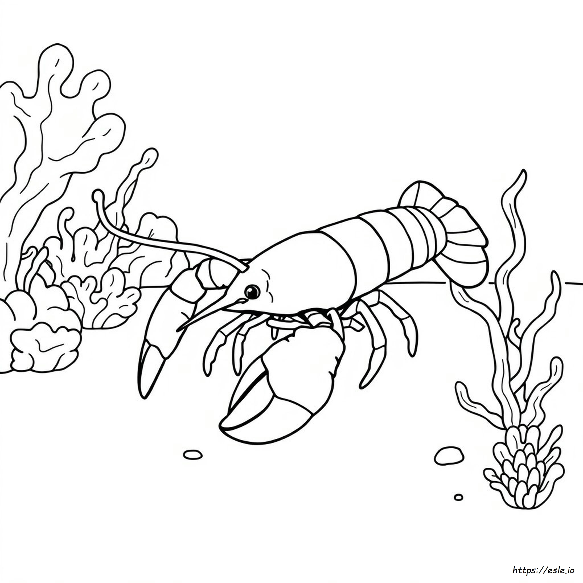 Coloring Page Of A Lobster