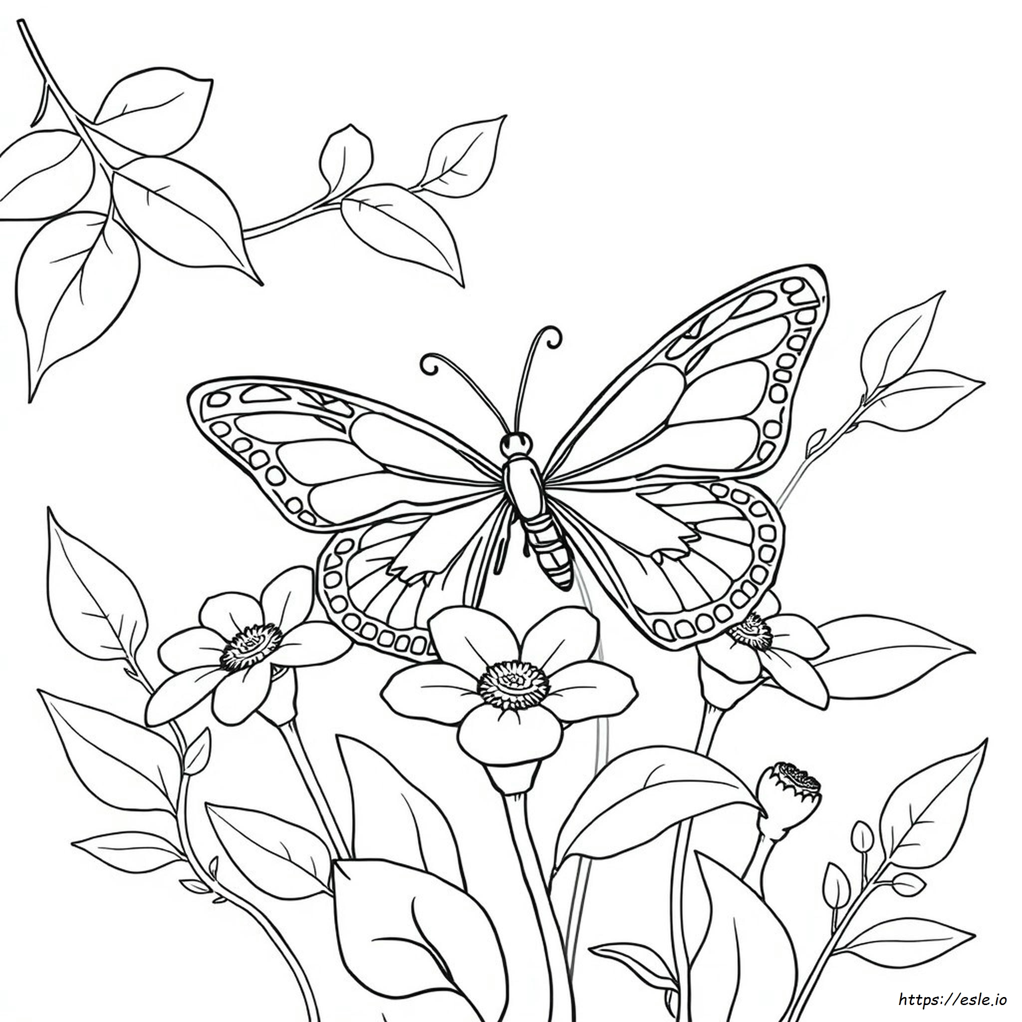 Butterfly Coloring Pages Hard