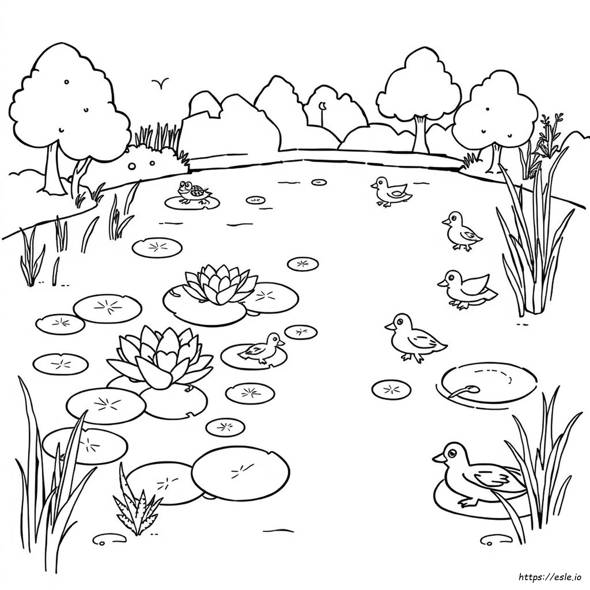 Pond Habitat Pond Coloring Pages
