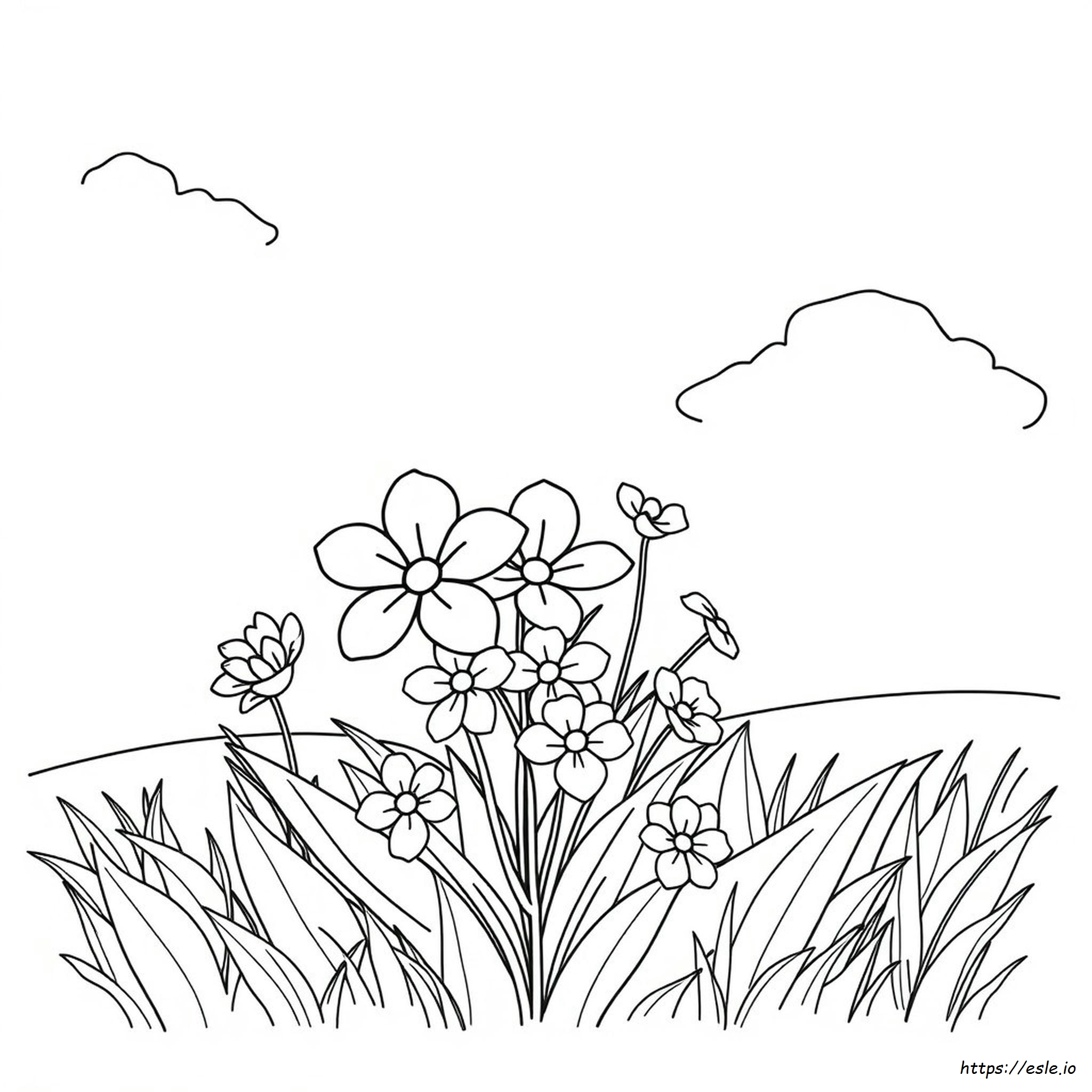 Free Coloring Pages With Flowers