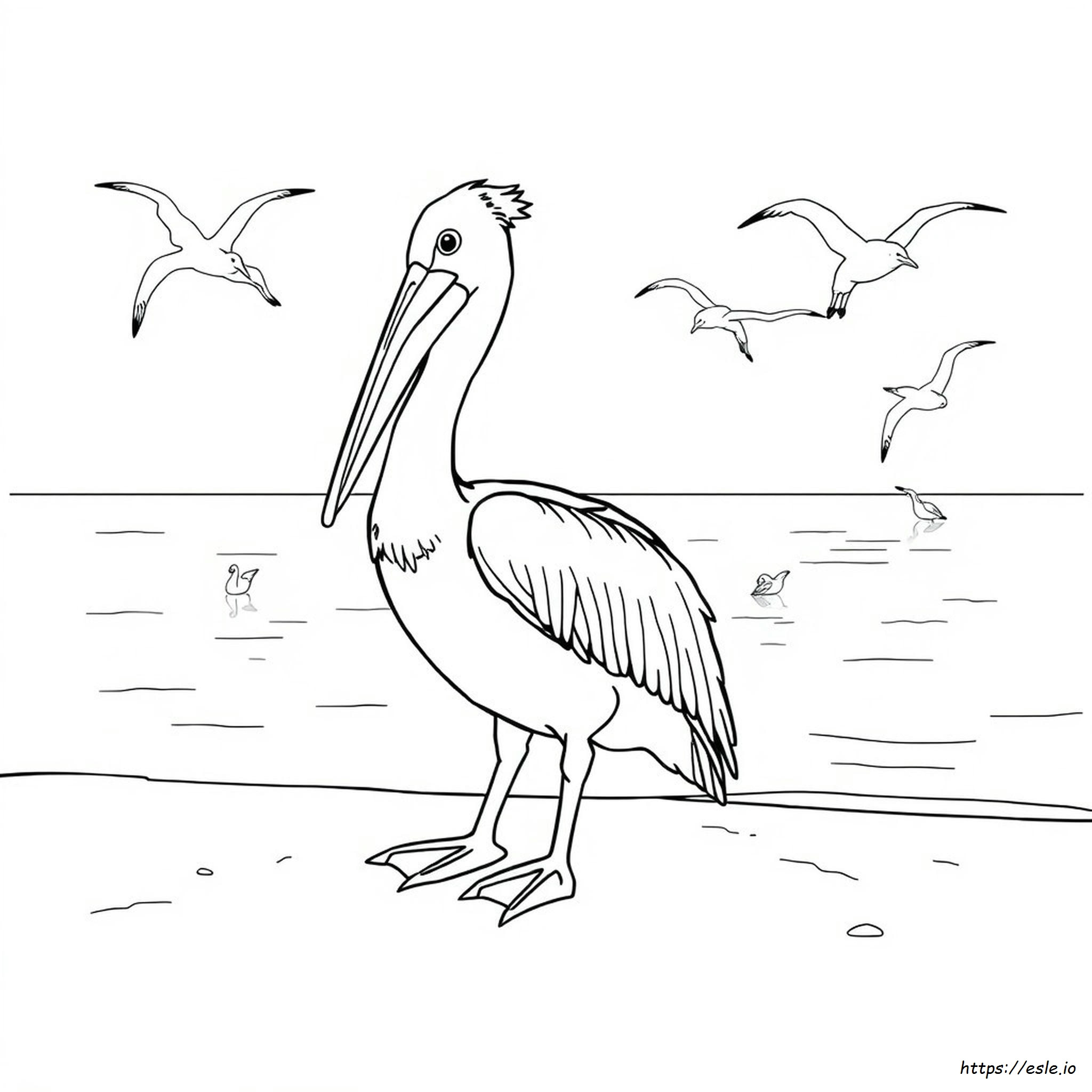 Pelican Coloring Page Printable