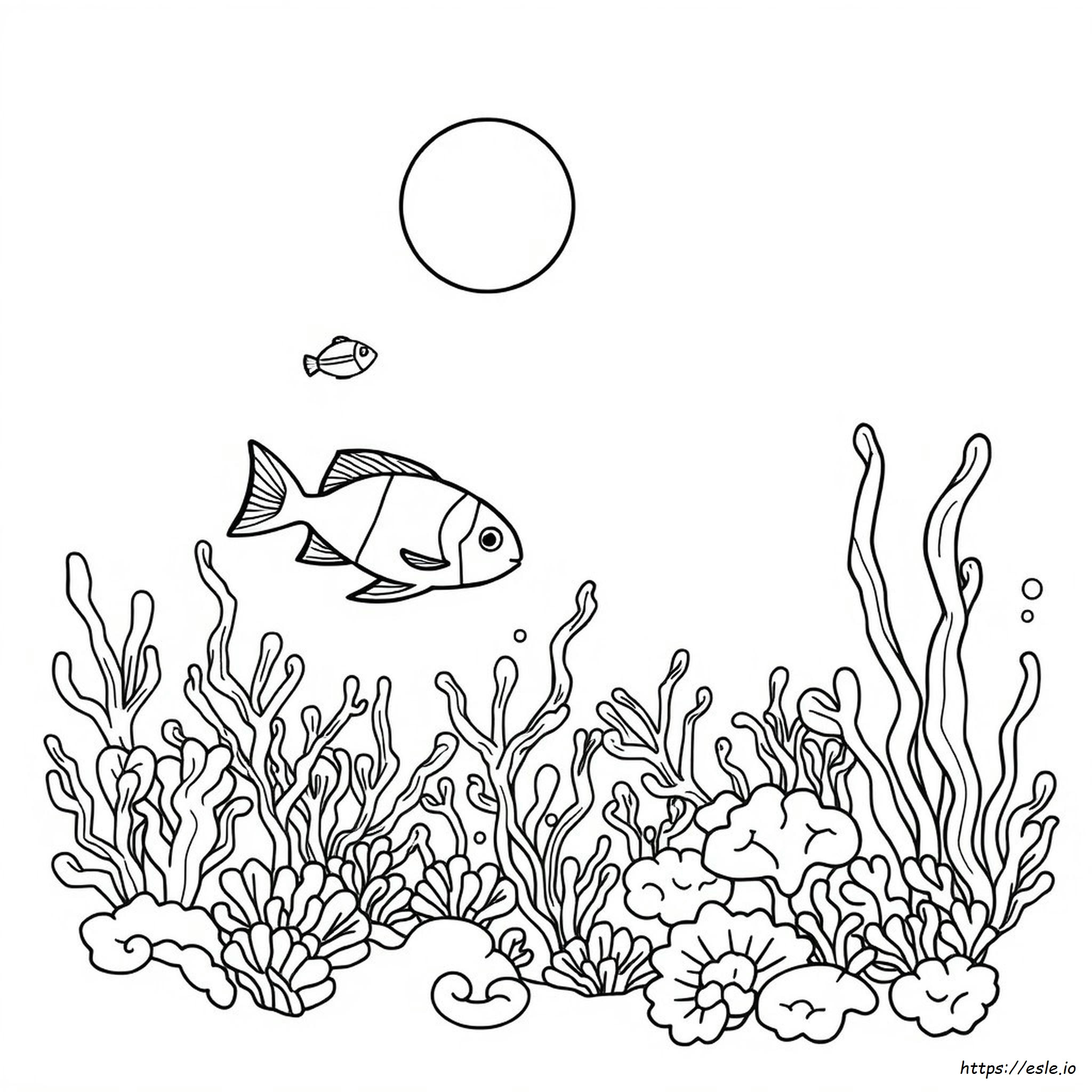 Kolorowanka Rafa Koralowa