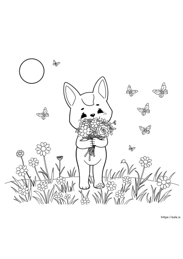 Kitanie Coloring Books