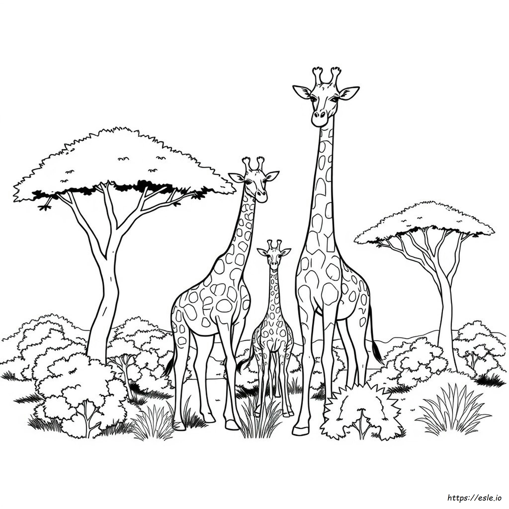 Giraffe Family Coloring Pages
