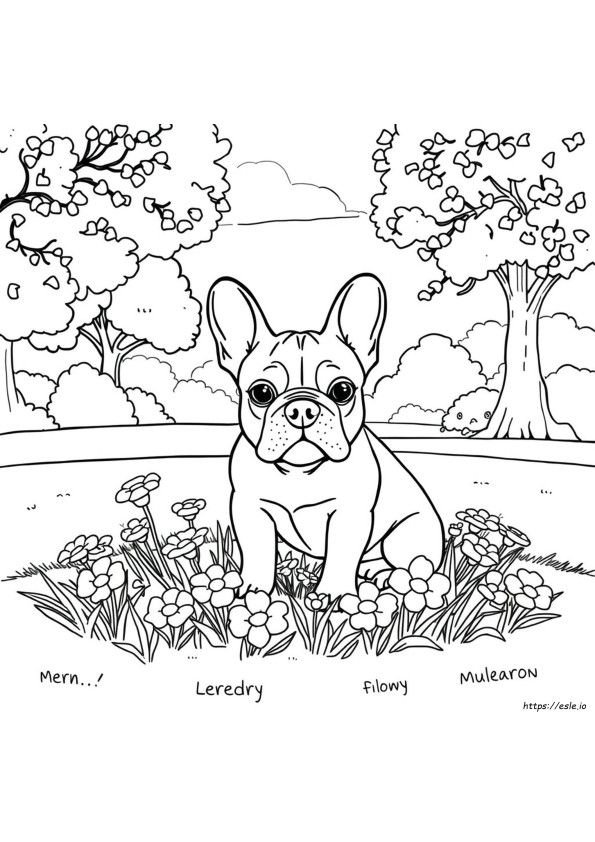 Free French Bulldog Coloring Pages