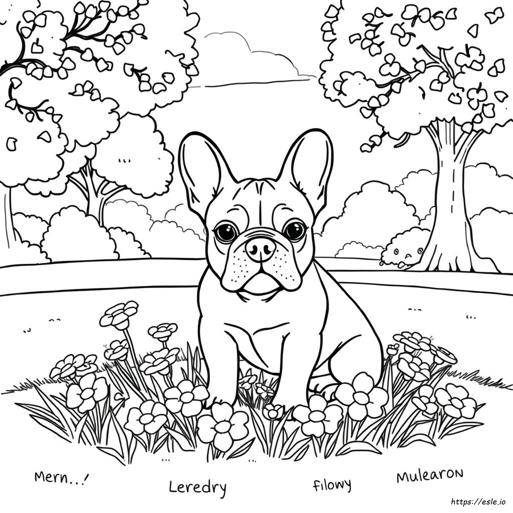 Kostenlose Französische Bulldogge Ausmalbilder