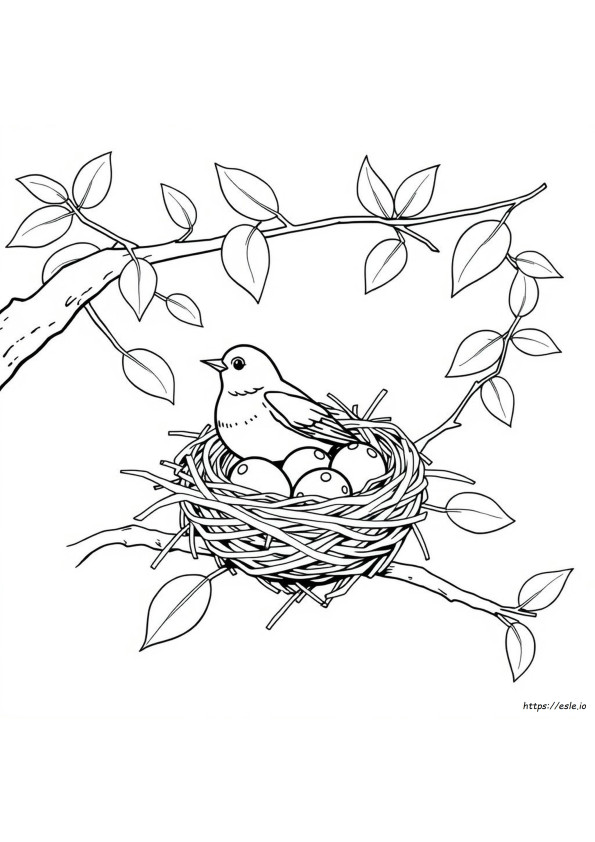 Coloriage Nid De Rouge-Gorge
