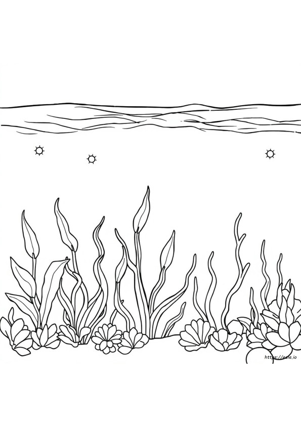 Coloring Pages Of Ocean Plants