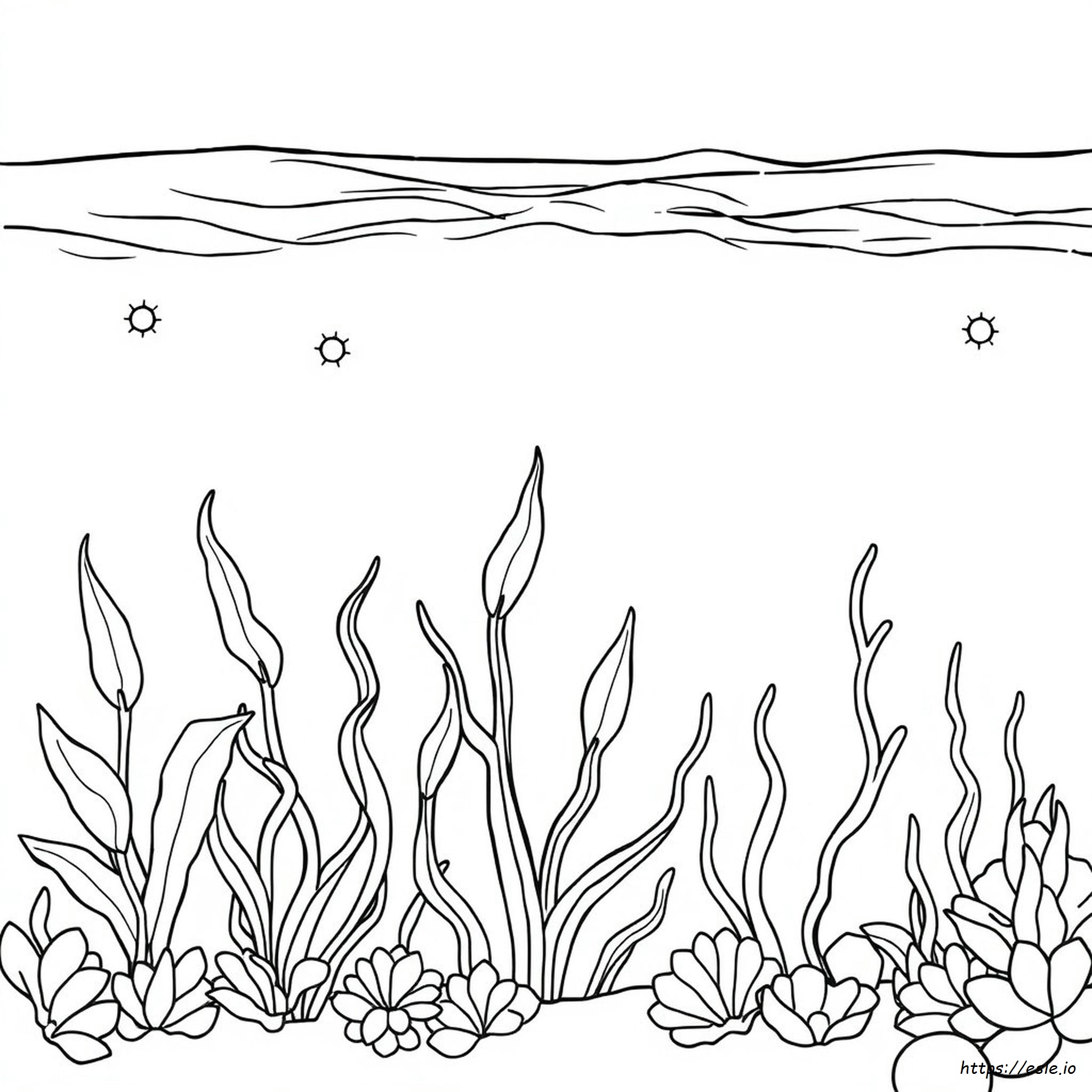 Coloring Pages Of Ocean Plants