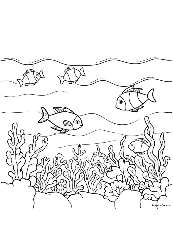 海のぬりえ