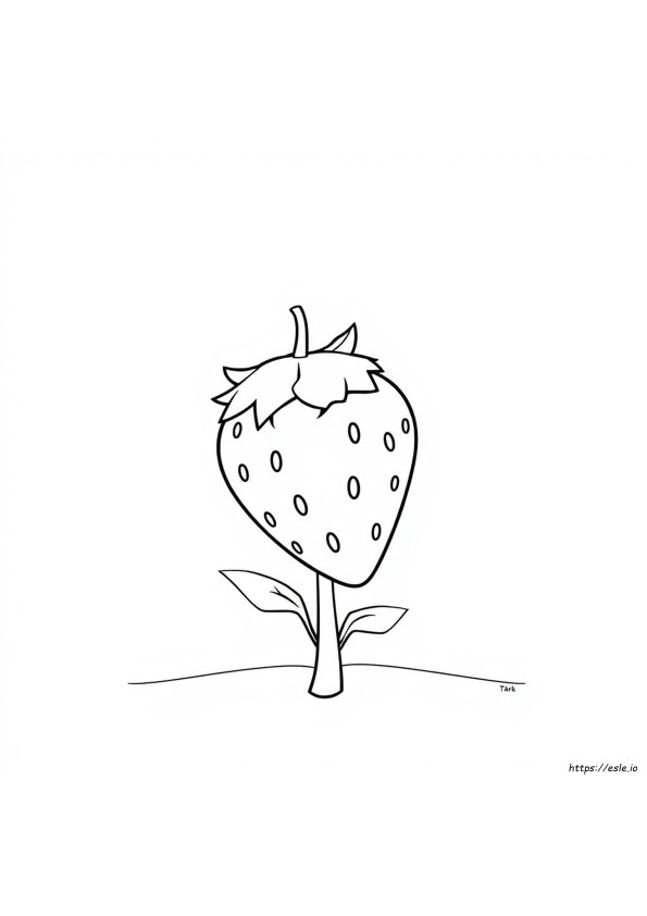 Picture Of Strawberry For Colouring