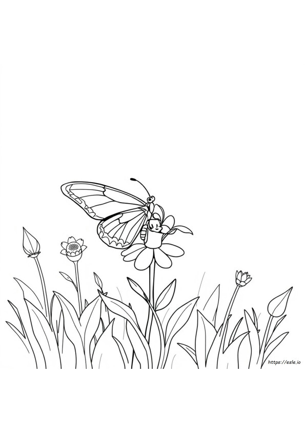 Dibujo Para Colorear De Mariposa