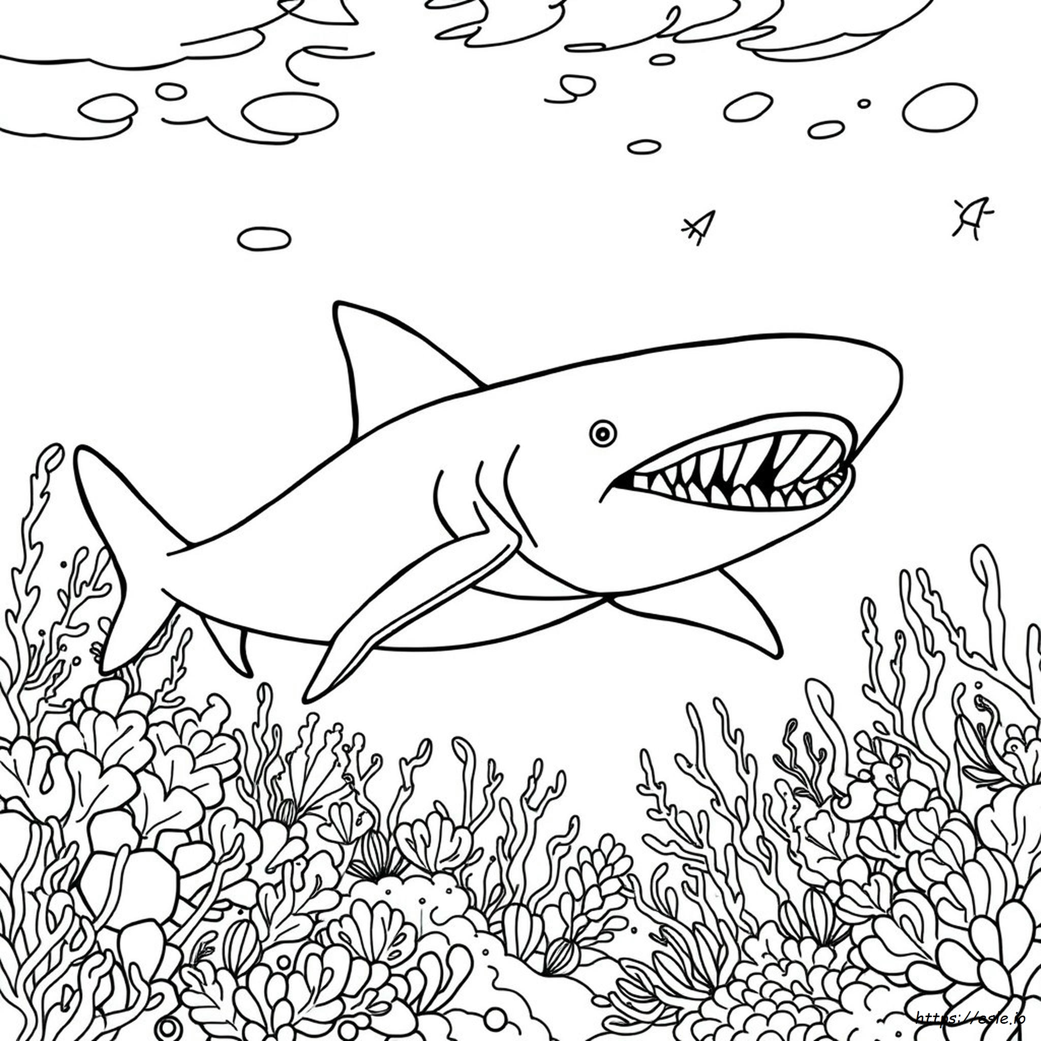 Megalodon Ausmalbilder Zum Ausdrucken