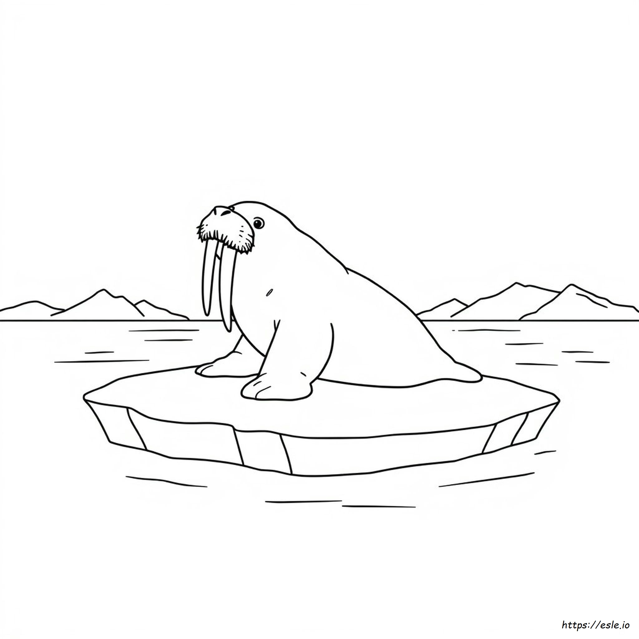 Walrus Coloring Picture