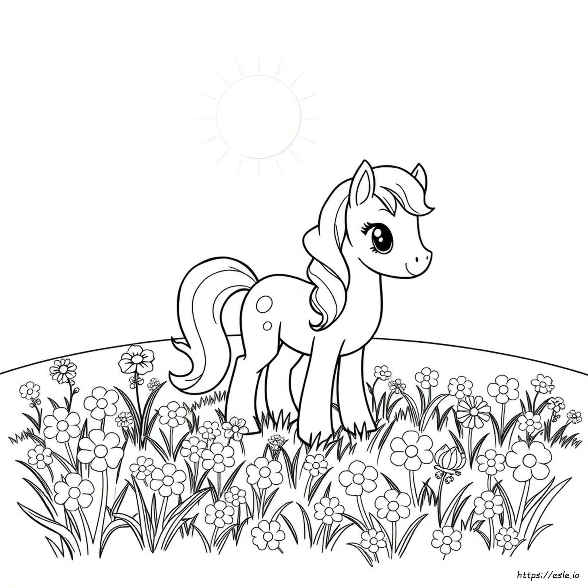 Coloriages Petit Poney