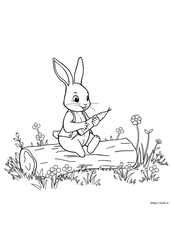 Peter Rabbit Boyama Sayfaları