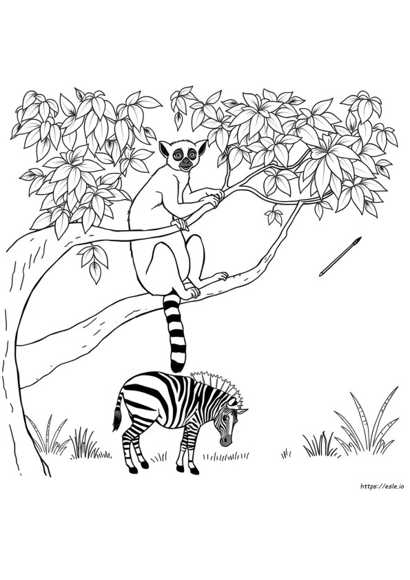 Madagaskar Zum Ausmalen