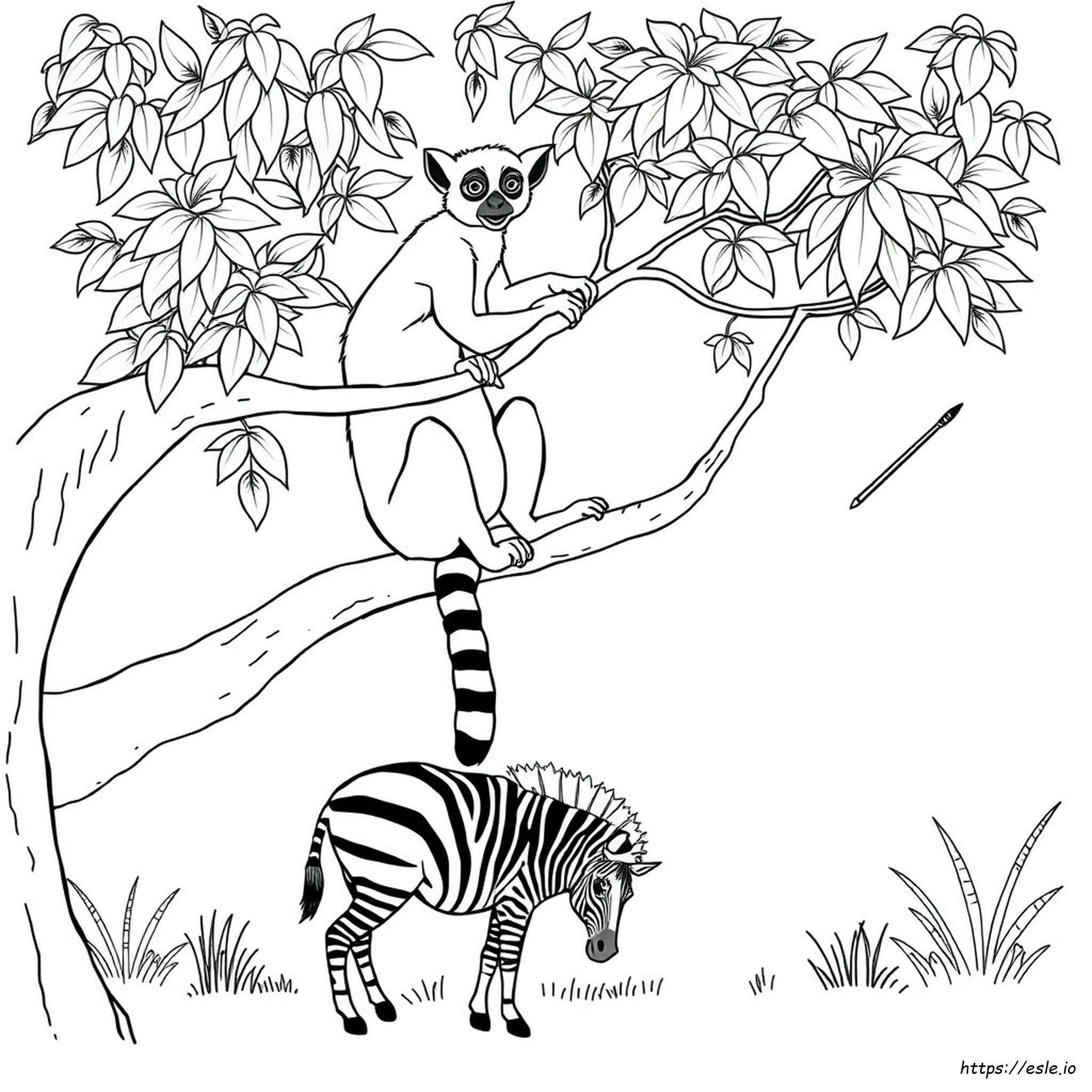 Madagascar Colouring In