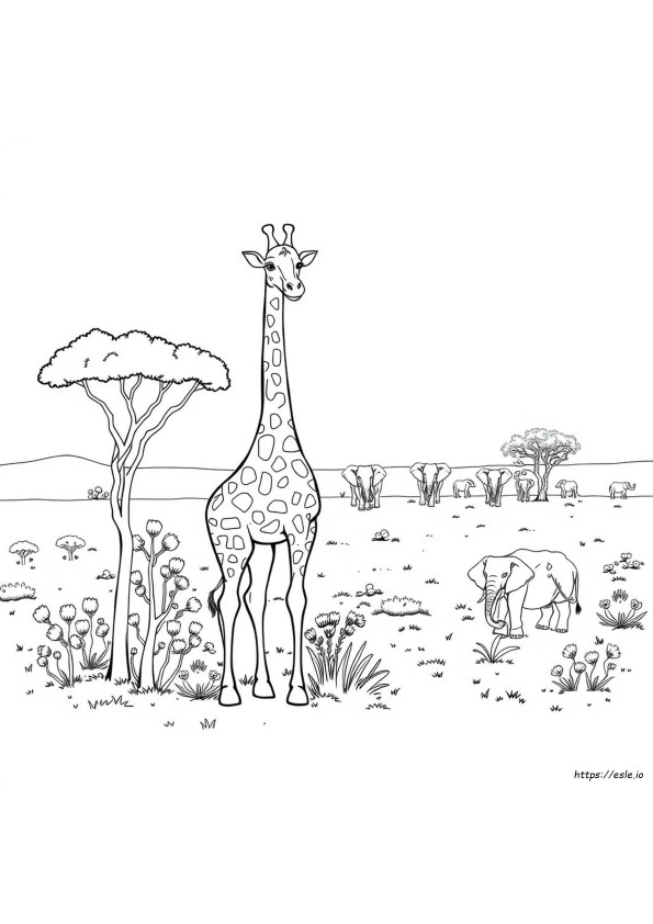 Printable Kenya Coloring Pages