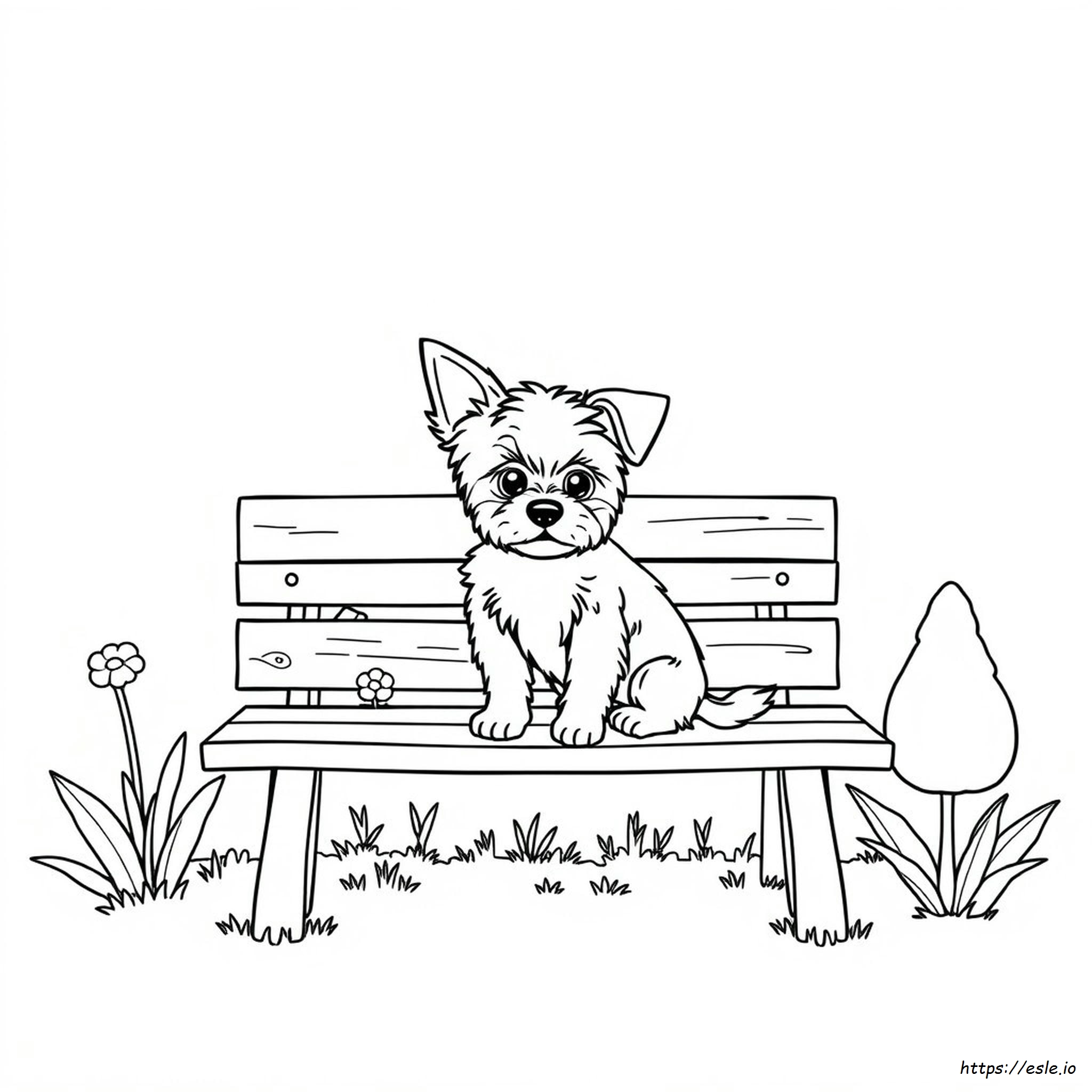 Morkie Coloring Pages