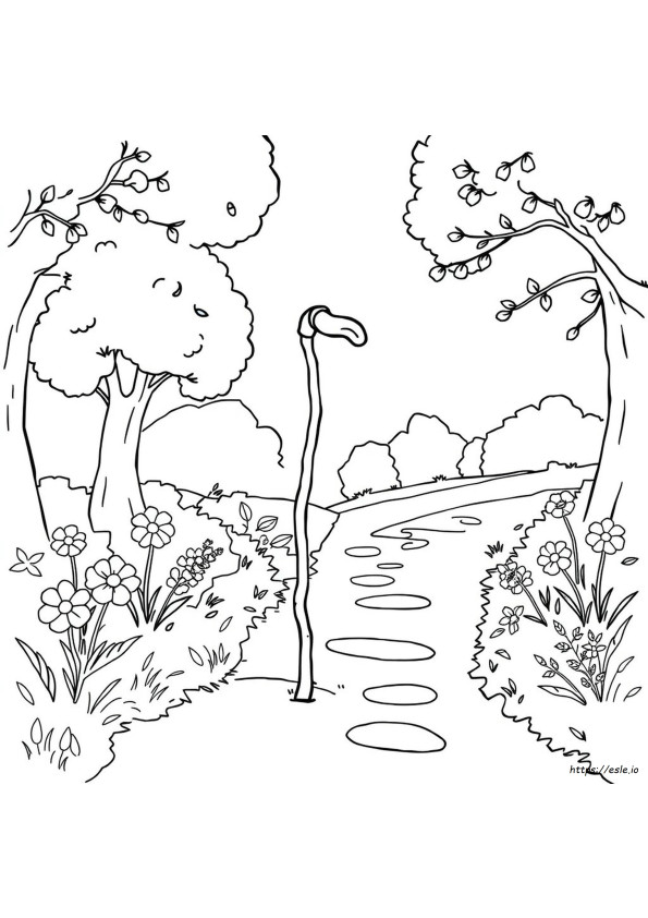 Walking Stick Coloring Page