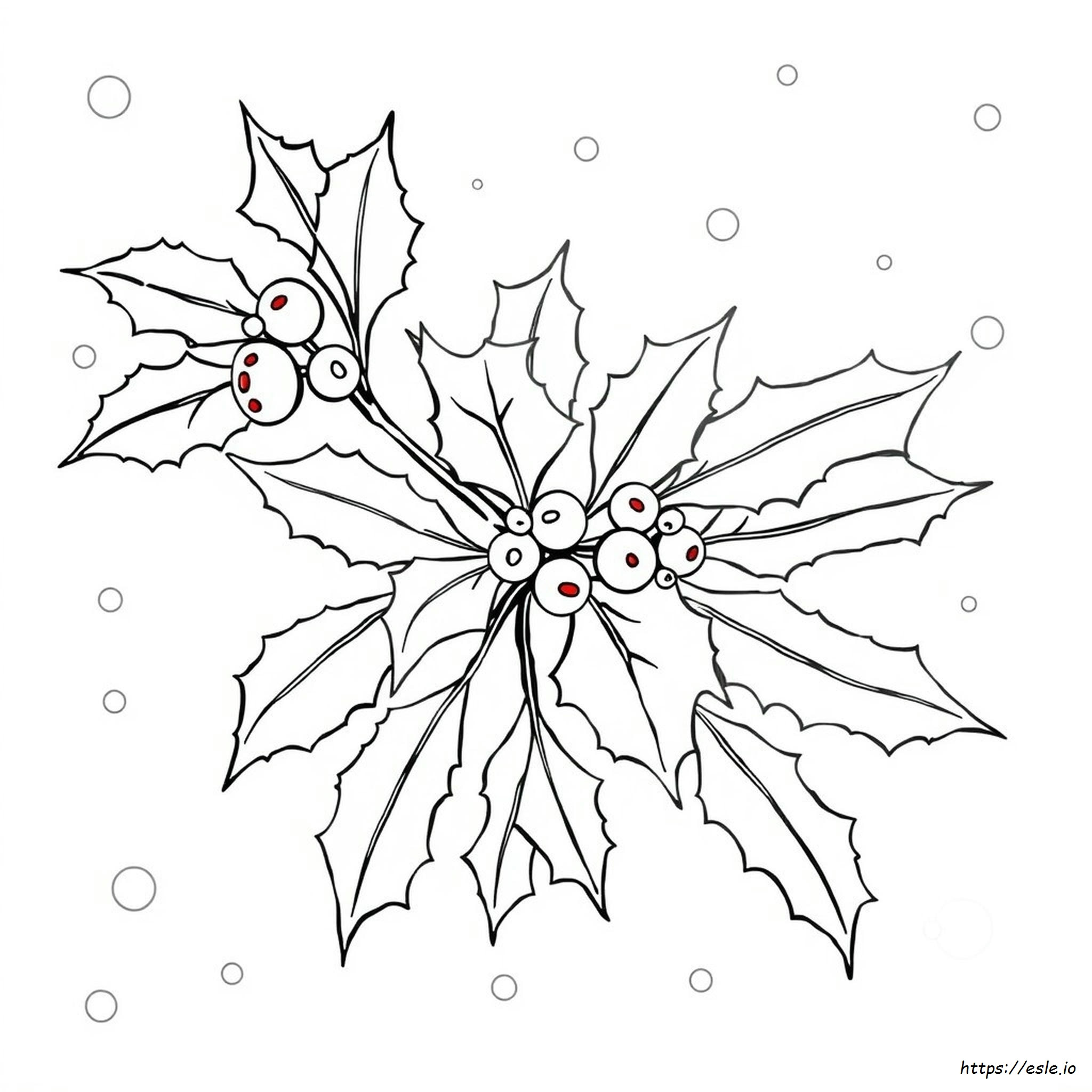 Holly Colouring Page