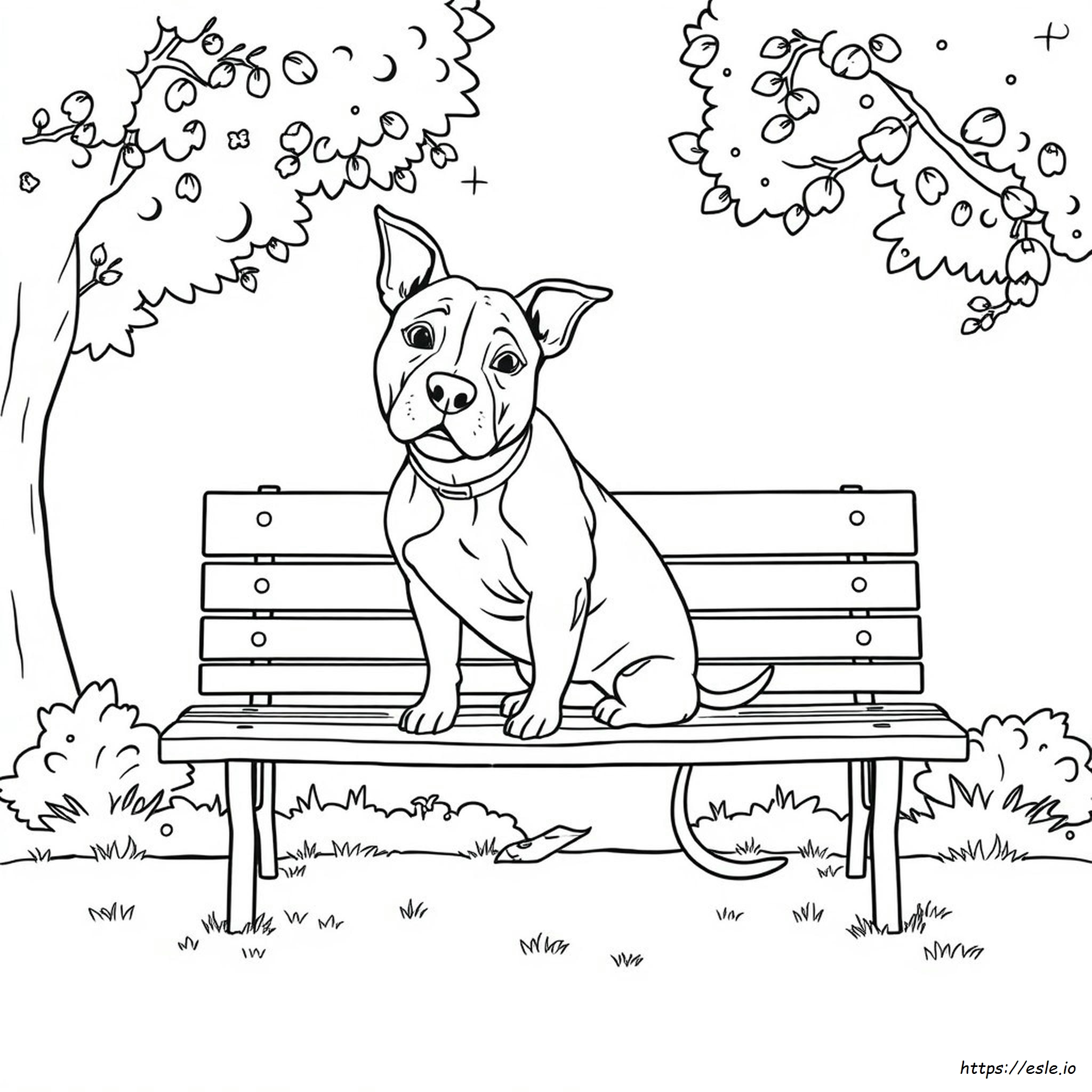 Pitbull Dog Coloring Pages