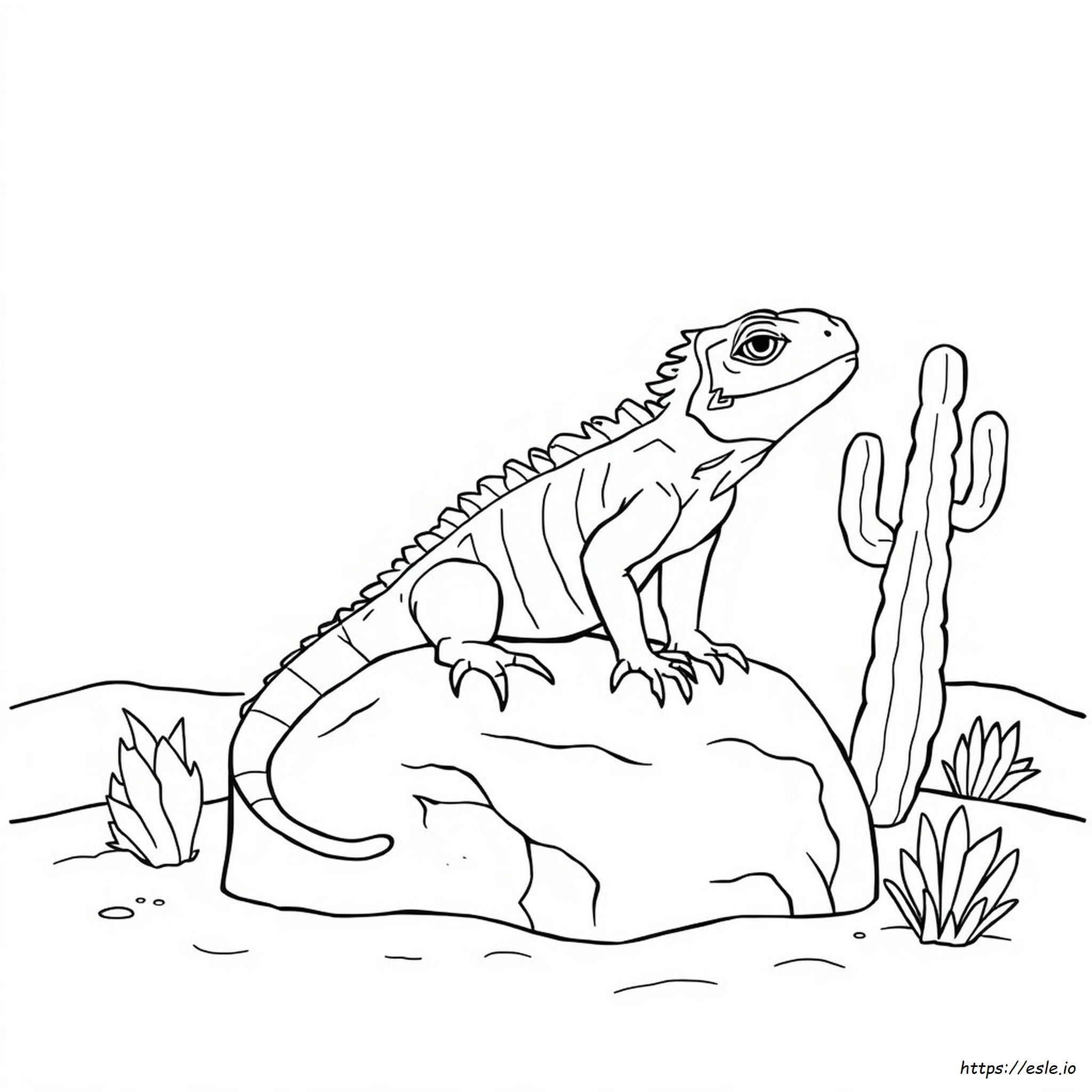 Iguana Coloring Picture