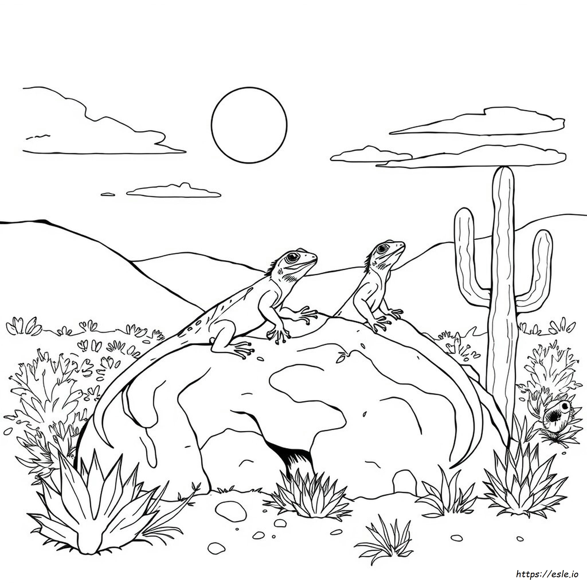 Common Lizards In Colorado