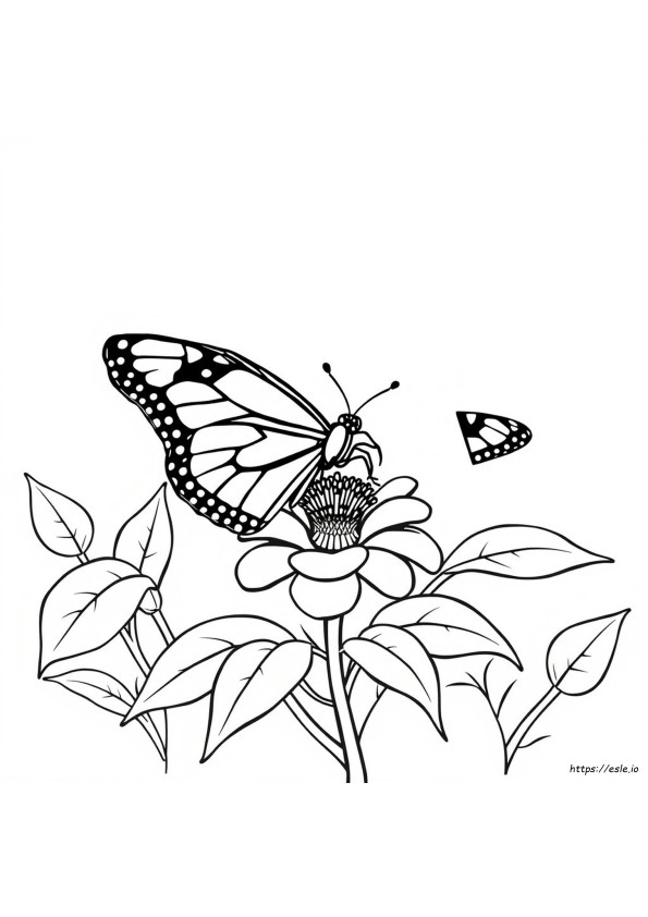 Simple Monarch Butterfly Coloring Pages