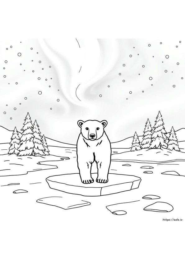 Orso Polare Da Colorare Per Adulti