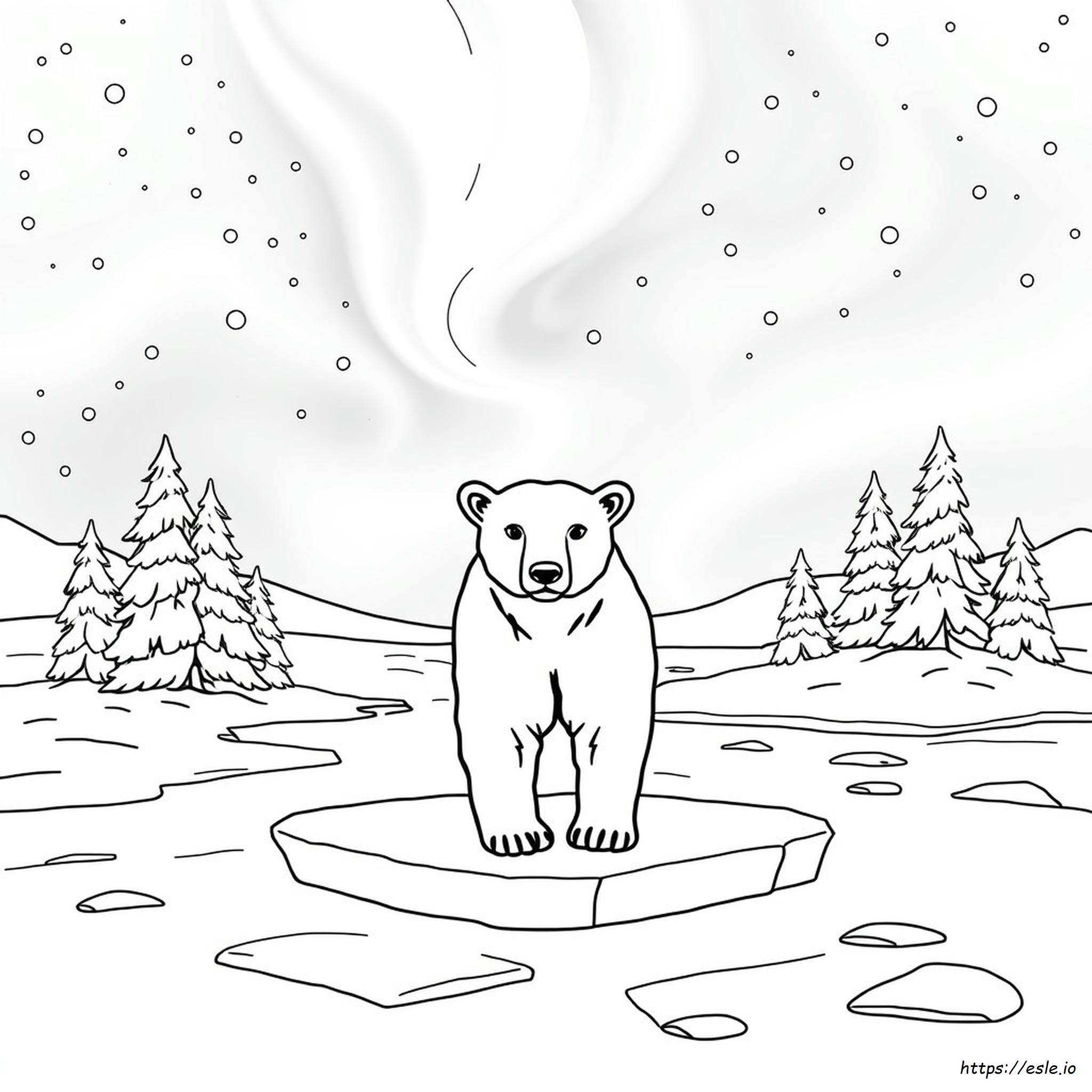 Orso Polare Da Colorare Per Adulti