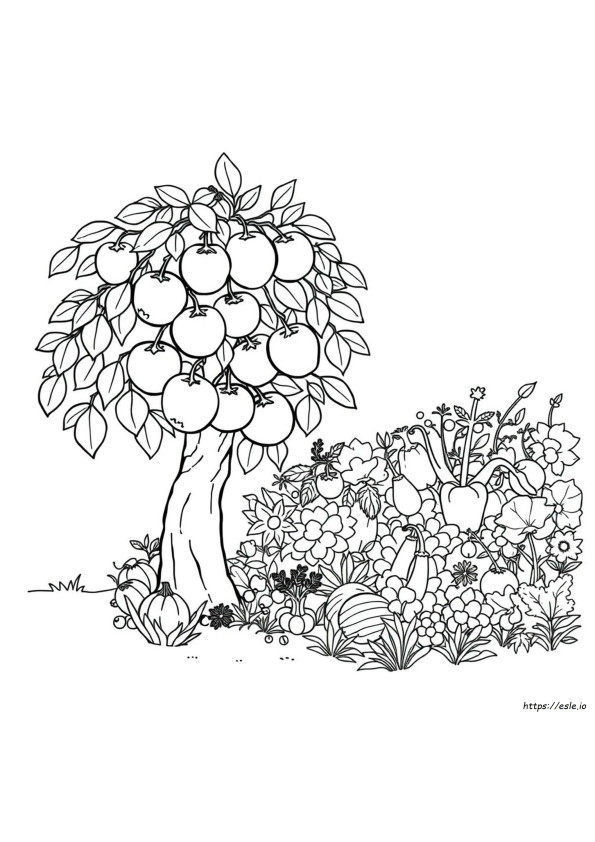 Fruit And Veg Colouring