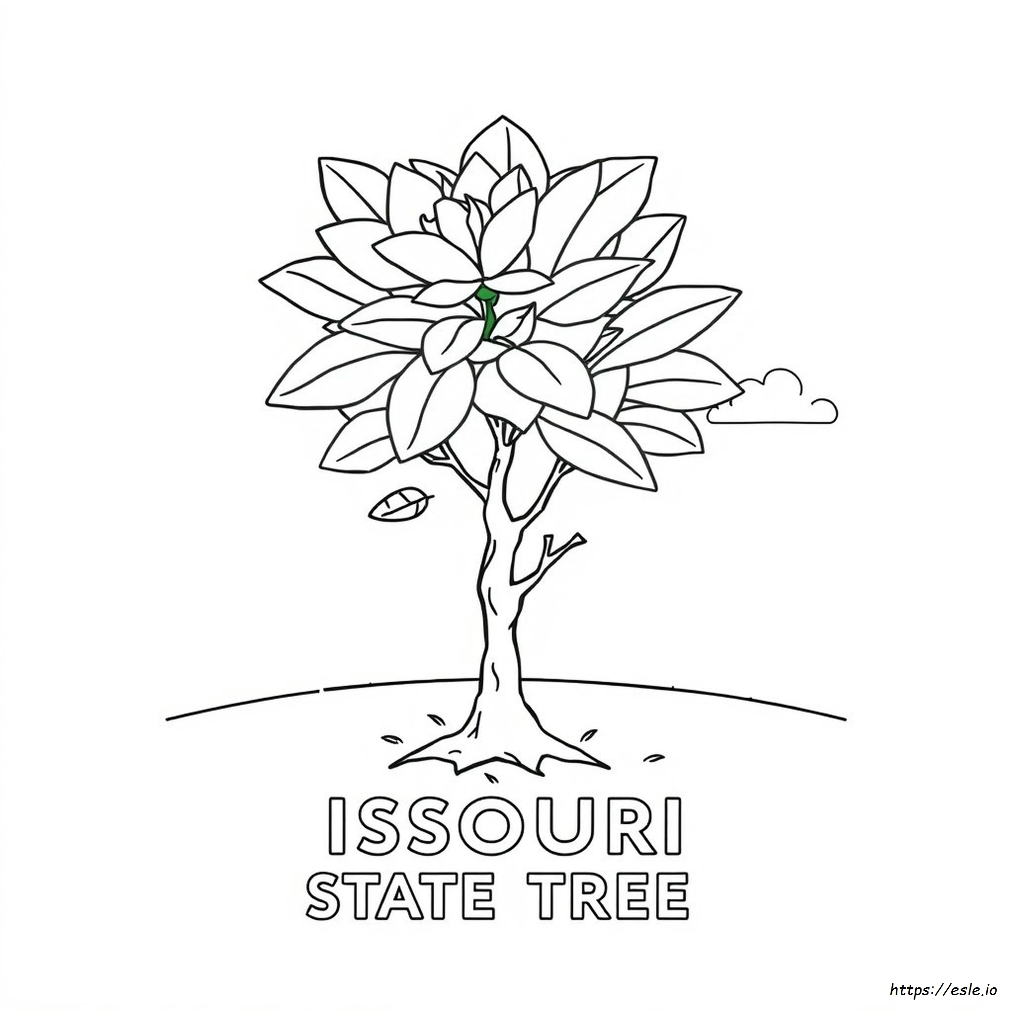 Albero Dello Stato Del Mississippi Da Colorare