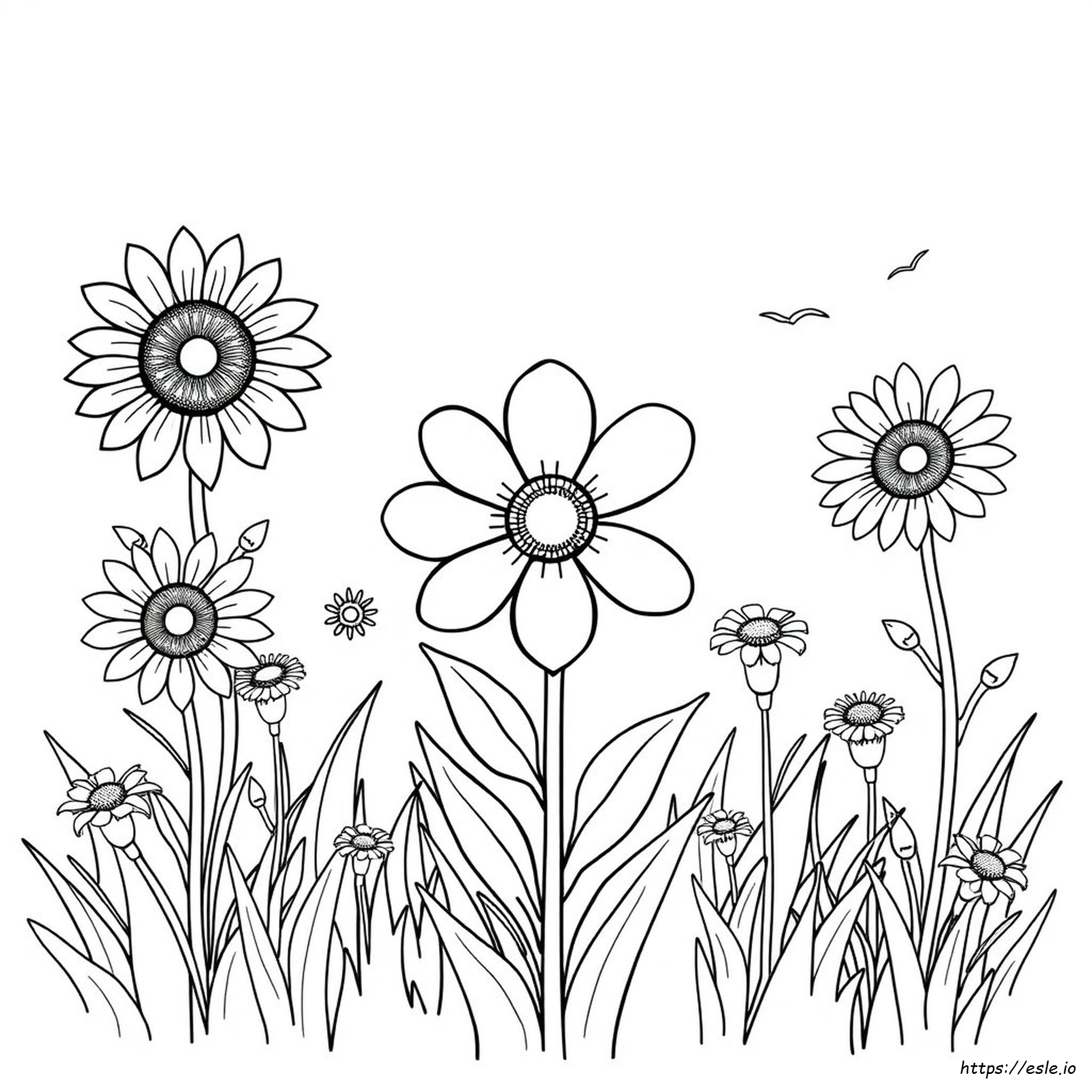 Flower Pictures Coloring Pages