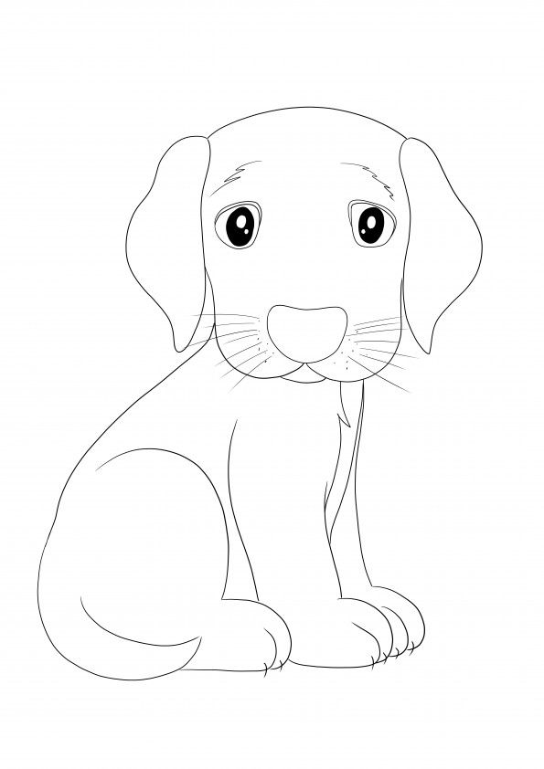 Simple to color image of a sad puppy for kids free to print