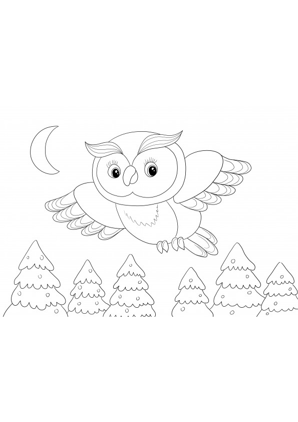 Owl flying over pine trees free printable to color or download