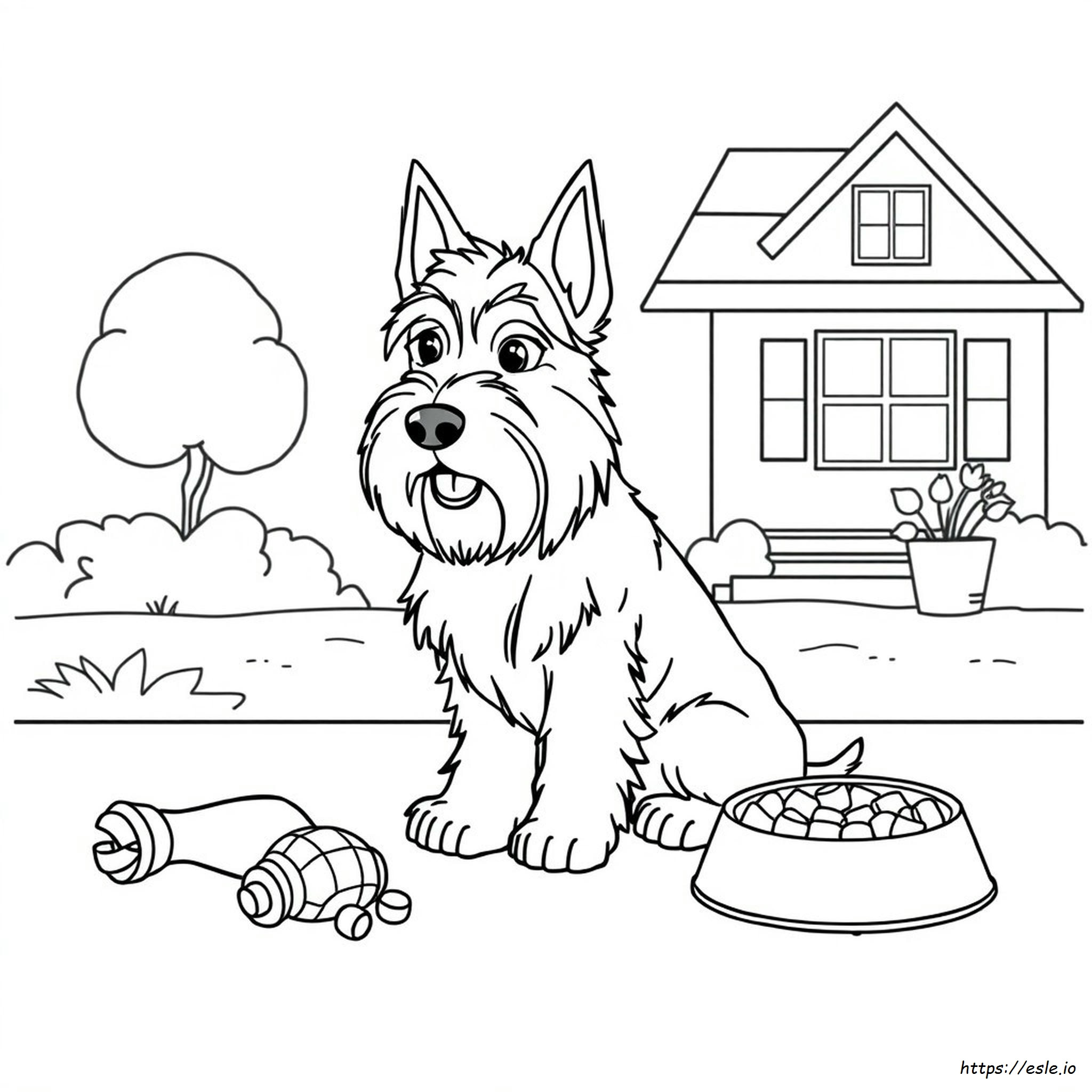 Coloriage Chien Scottie