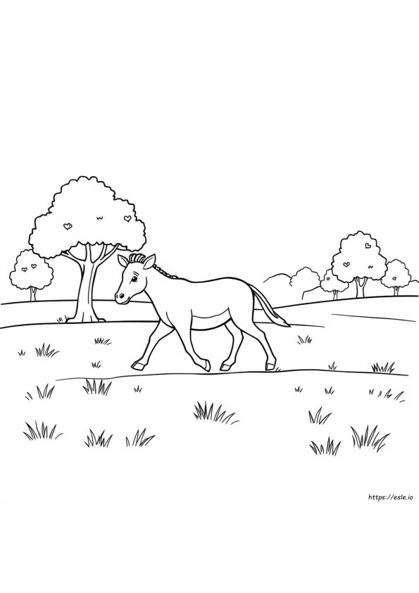 Free Coloring Pictures Com