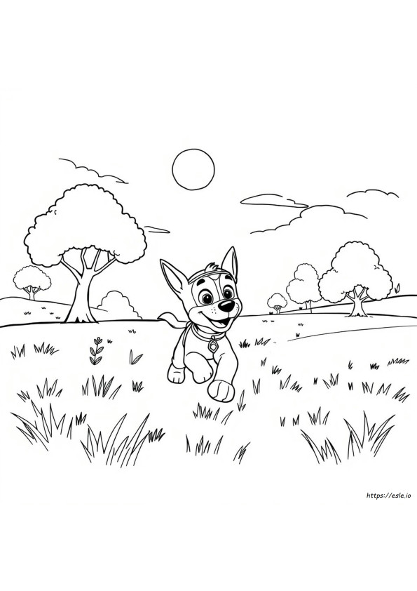 Chase Colouring In