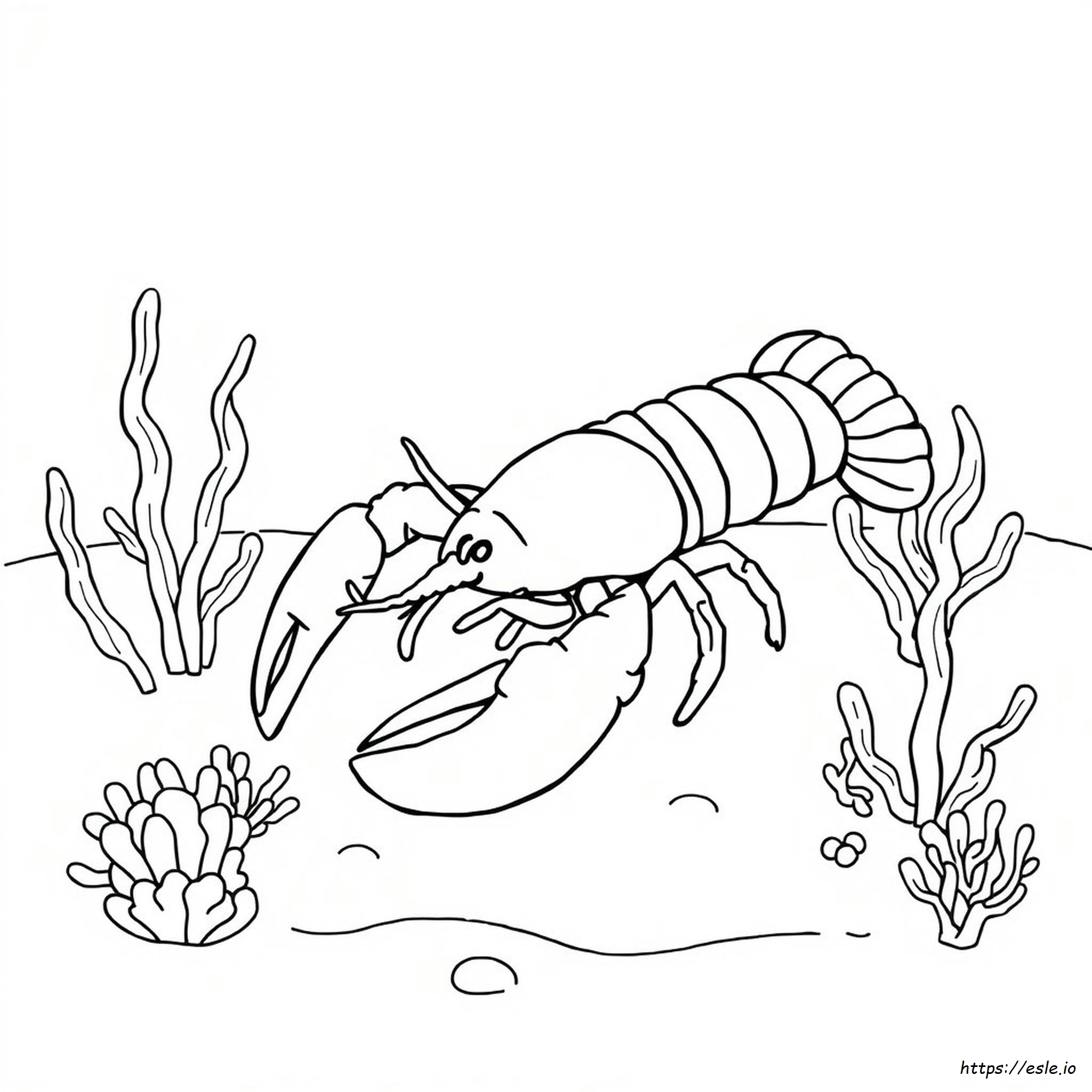 Printable Lobster Coloring Page