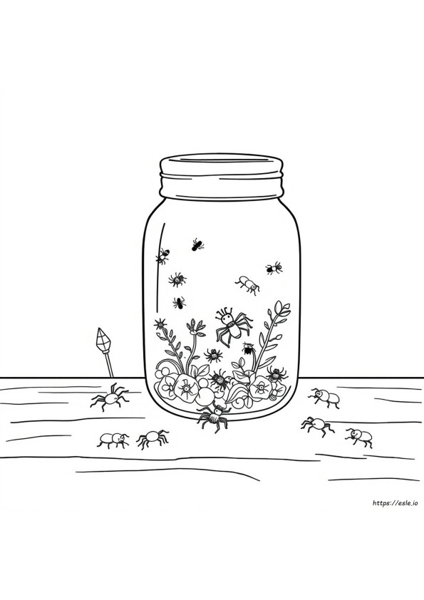 Coloriage Bocal À Insectes