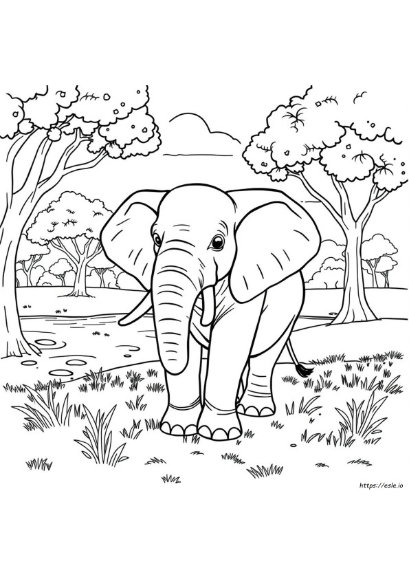 Gedetailleerde Olifant Kleurplaten